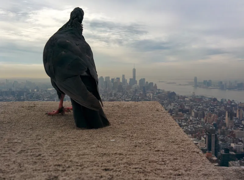 Empire State Building, NYC