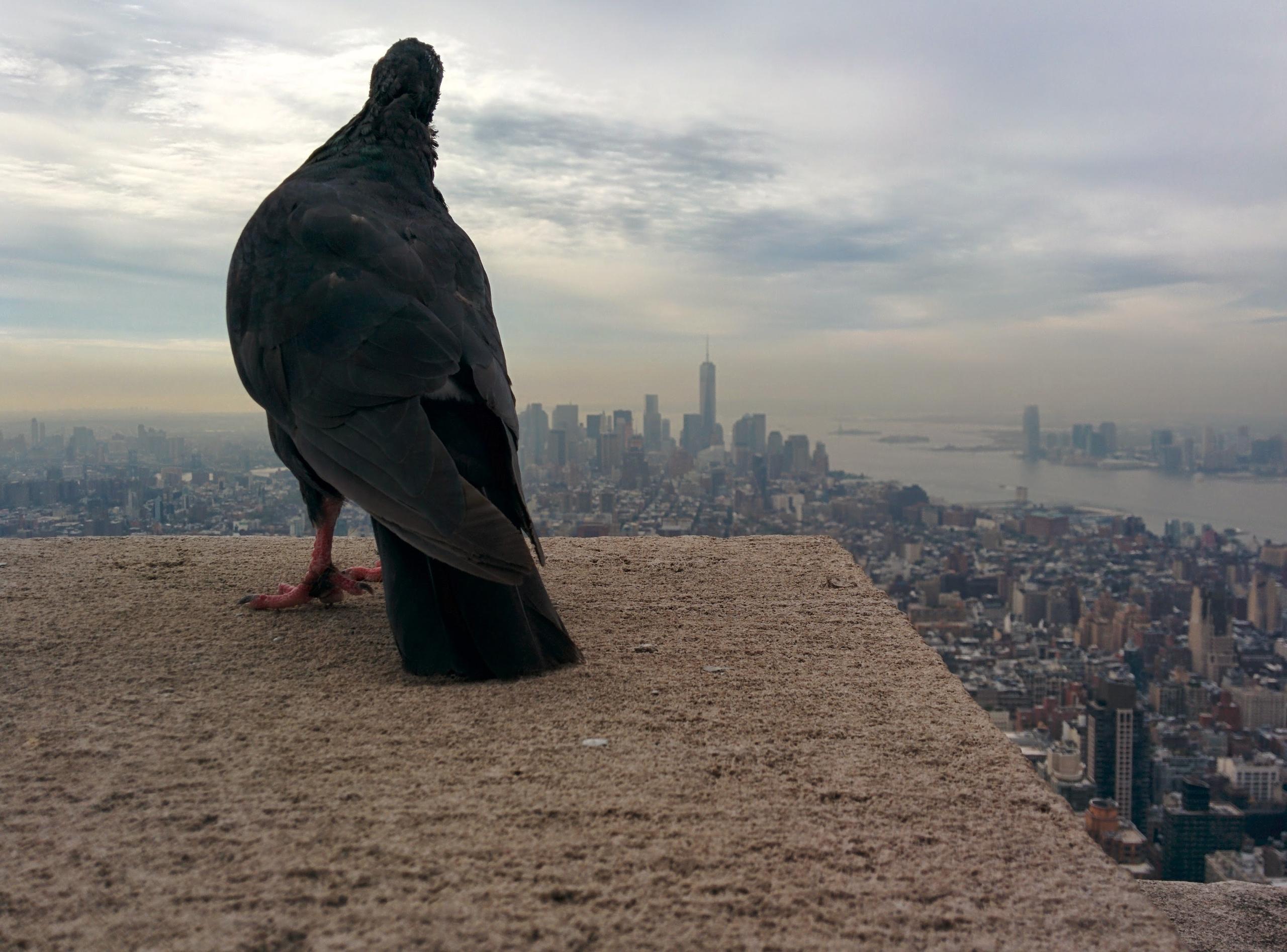 Empire State Building, NYC